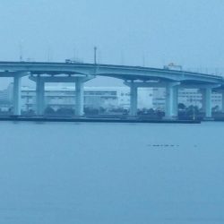 雨後は若干状況の変化あり。でも時合に5匹ゲット。